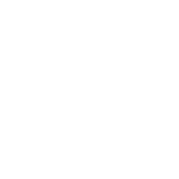 feature-item-1